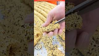 The Chinese make sesame seeds😲 shortvideo amazingfacts [upl. by Terese]