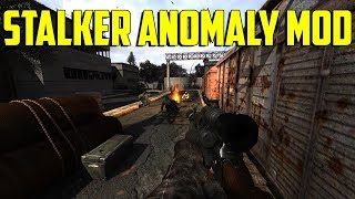 STALKER Anomaly Mod  Into The Zone [upl. by Amelina]