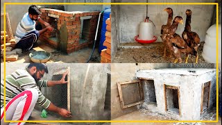 how to build a chicken coop  DIY hen house  Aseel cage rooftop [upl. by Naillig995]