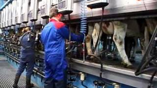 DeLaval Harmony Plus [upl. by Bonney]