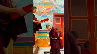 Buddham Sharnam Gachhami🙏Namo buddhayThe Buddhist Song Statusshorts youtubeshorts buddha viral [upl. by Trembly131]