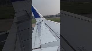 Aeroplane Mein Panchi a Gaya  Flight Ab Kya Hoga [upl. by Ora374]