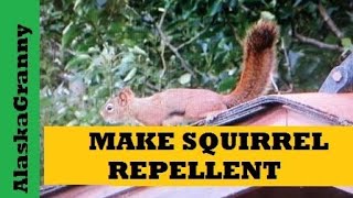 Make Squirrel Repellent For Gardens [upl. by Adnim600]