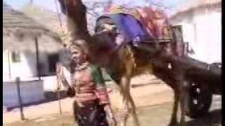 Sindhi Song Waj Nagara [upl. by Riegel]