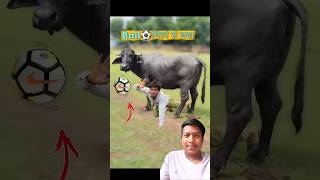 Ball⚽Ground में गिरने से बचाओ3😱🤯 comedy​ football​ [upl. by Anoy]