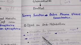 Physiological functions of adrenocortical hormones part 2 functions of cortisol [upl. by Nylle632]