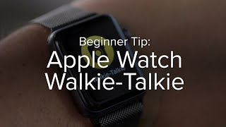 How to use WalkieTalkie on Apple Watch [upl. by Schertz]