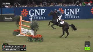 Contendros 2 CONTENDRO et Andres Azcarraga  1er du Grand Prix 1m60 au CSI5 de Monterrey [upl. by Caitrin]