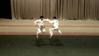 Taekwondo ITF DPRK Demo Team KohtlaJarve 19022011 [upl. by Elinad]