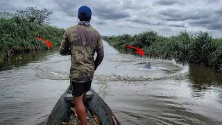 SUBIMOS O RIO E ME SURPREENDI COMO OQ ACERTEI  pescaria de tarrafa no Rio Reis magos [upl. by Gilda]