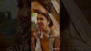 Channa mereya mereya bollywood love food shotshortsoffical shotstory bollywood reels video [upl. by Kahn]