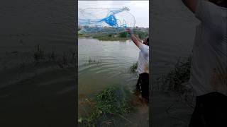 Unexpectedly Catching Lots of Big Tilapia Fish Catches fishing fishingvideos thoondilulagam [upl. by Thibaut]