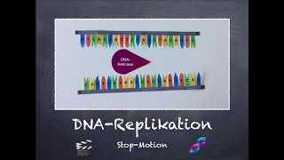 DNAReplikation  StopMotion Video 🎥 [upl. by Demeyer]