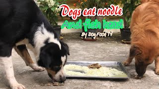 Dogs eat noodle and fish head episode 316 By Dog Food TV [upl. by Aldwon]