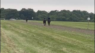 Chindwin far side working in Newmarket on Saturday [upl. by Adalie818]