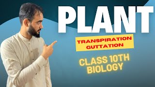 Excretion In Plants  Transpiration  Guttation  Class 10th Biology  Basharat Ali Lectures [upl. by Maggie992]