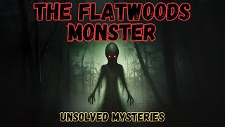 The Flatwoods Monster [upl. by Glovsky]