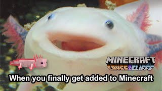 Minecraft Live 2020 Memes Caves amp Cliffs Update [upl. by Eceinahs]