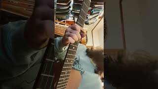 All Time Low  Widespread Panic guitar billystrings acousticguitar cover music [upl. by Baird710]