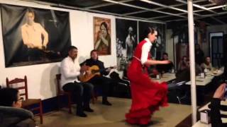 Flamenco at La Carboneria Sevilla [upl. by Ontine]