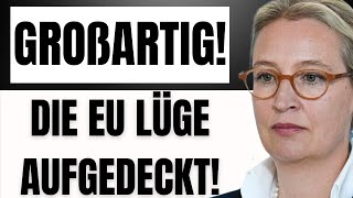 Alice Weidel legt riesige LÜGEN über die EU in Rede offen [upl. by Annairol487]