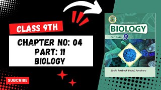 cell size and shape as they relate to surface area to volume ratio chapter no 4 class 9  biology [upl. by Atilahs]