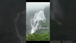 Dudhsagar Waterfalls Goa in Monsoon  Biggest Waterfalls of India [upl. by Nahtad826]