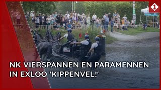 NK Vierspannen en Paramennen in Exloo Kippenvel [upl. by Arbe94]