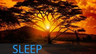 8 Hour Delta Waves Sleep Music Relaxing Music Calming Music Soothing Music Soft Music ☯346 [upl. by Heather]