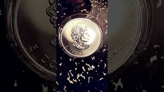 2014 maple silver coin [upl. by Edrick]