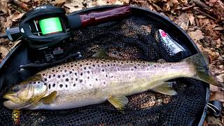 Casting UL na Pstrągach  BFS cheap combo review on wild trout from a small river [upl. by Treblih]