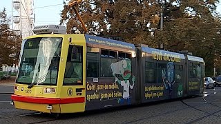 DPMB šaliny Brno Česká Hlavní nádraží Masnáfunny tram [upl. by Isiad408]