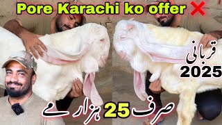 Wali Kareem Goat Farm Ne Aise Offer Da Di Jo Kese Na Nahe Di 😱  Qurbani 2025  Bakra Mandi [upl. by Neelyak]