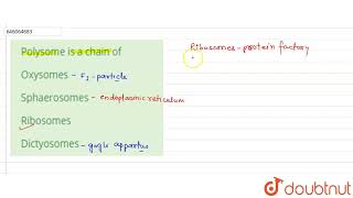 Polysome is a chain of  12  STRUCTURE OF THE CELL  BIOLOGY  DINESH PUBLICATION ENGLISH  Do [upl. by Petrina299]