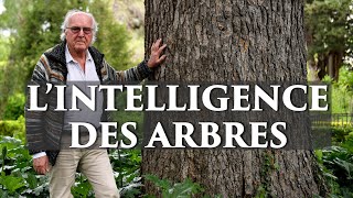 Francis Hallé  Les arbres sont plus intelligents que nous [upl. by Marline]