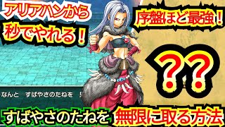 【序盤ほど最強の大活躍！】アリアハンですばやさのたねが【誰でも無限に取れる方法！】 [upl. by Tolkan]