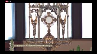 LIVE Eucharistic Adoration on EWTN [upl. by Birmingham]