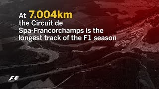 2017 Belgian Grand Prix  F1 Fast Facts [upl. by Alcus856]