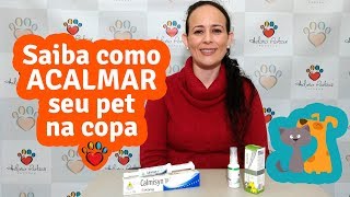 Como acalmar seu animal na Copa do Mundo [upl. by Stroup]