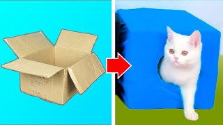 16 IDEAS ÚTILES PARA TU GATO [upl. by Ondrea]