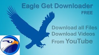 how to easily download EagleGet in 2 minutes [upl. by Irrol375]