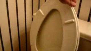 My New Slow Closing Toilet Seat [upl. by Vey]