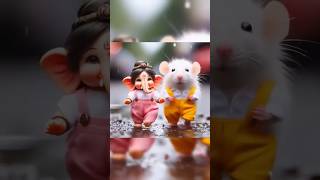 Ganpati babba morya 🤩 funny comedy animals rat pets [upl. by Gardner]