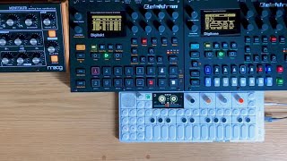 OP1 field  Digitakt Digitone with Song Mode  Moog Minitaur  Melodic House jam [upl. by Ric]