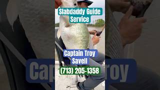 Captain Troy Savell of Slabdaddy Guide Service lands a monster crappie with Garmin LiveScope 🎣💥 [upl. by Eckardt]