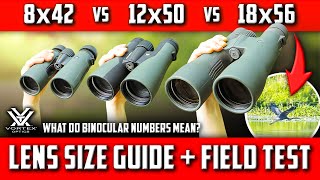 How To Choose Binoculars What Size is Best for Your Activities Vortex 8x42 vs 12x50 vs 18x56 TEST [upl. by Laura]