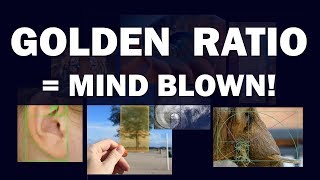 Golden Ratio  Mind Blown [upl. by Killen]