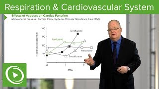 Anesthesiology Respiration amp Cardiovascular System – Anesthesiology  Lecturio [upl. by Keligot]