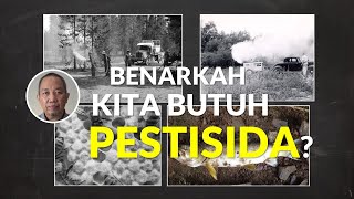 Benarkah manusia butuh PESTISIDA serial pestisida [upl. by Lord623]