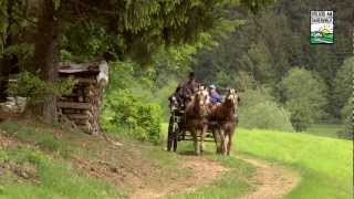 Urlaub am BauernhofTV Folge 2 Reiten am Großreithnerhof [upl. by Coplin]